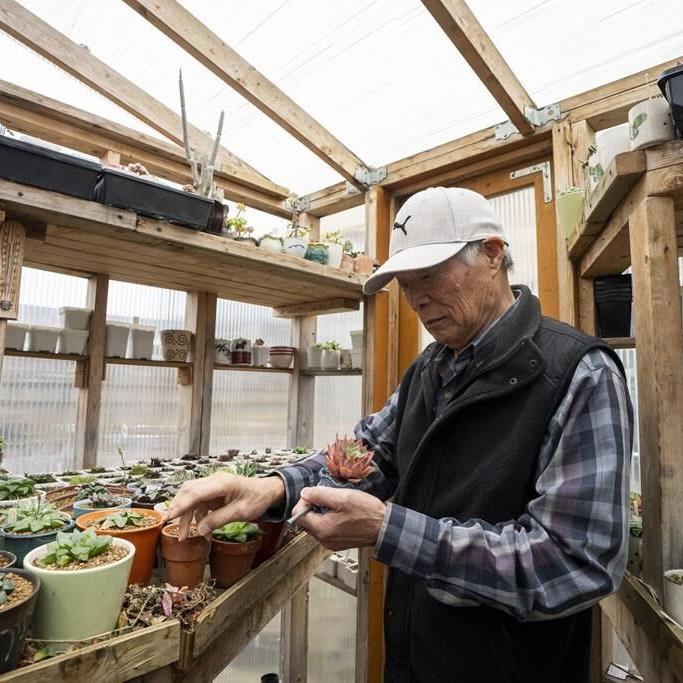 'It's so sad': B.C. gardeners grieve as they take stock of cold snap's toll